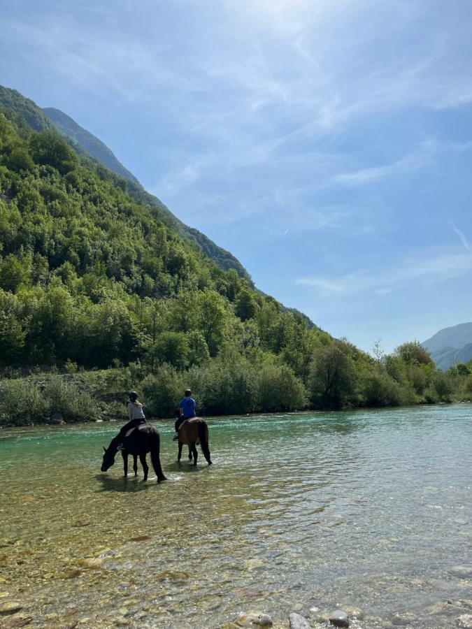 Apartment Baban In Zaga, Slovenia Zewnętrze zdjęcie